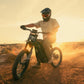 79BIKE Falcon Pro