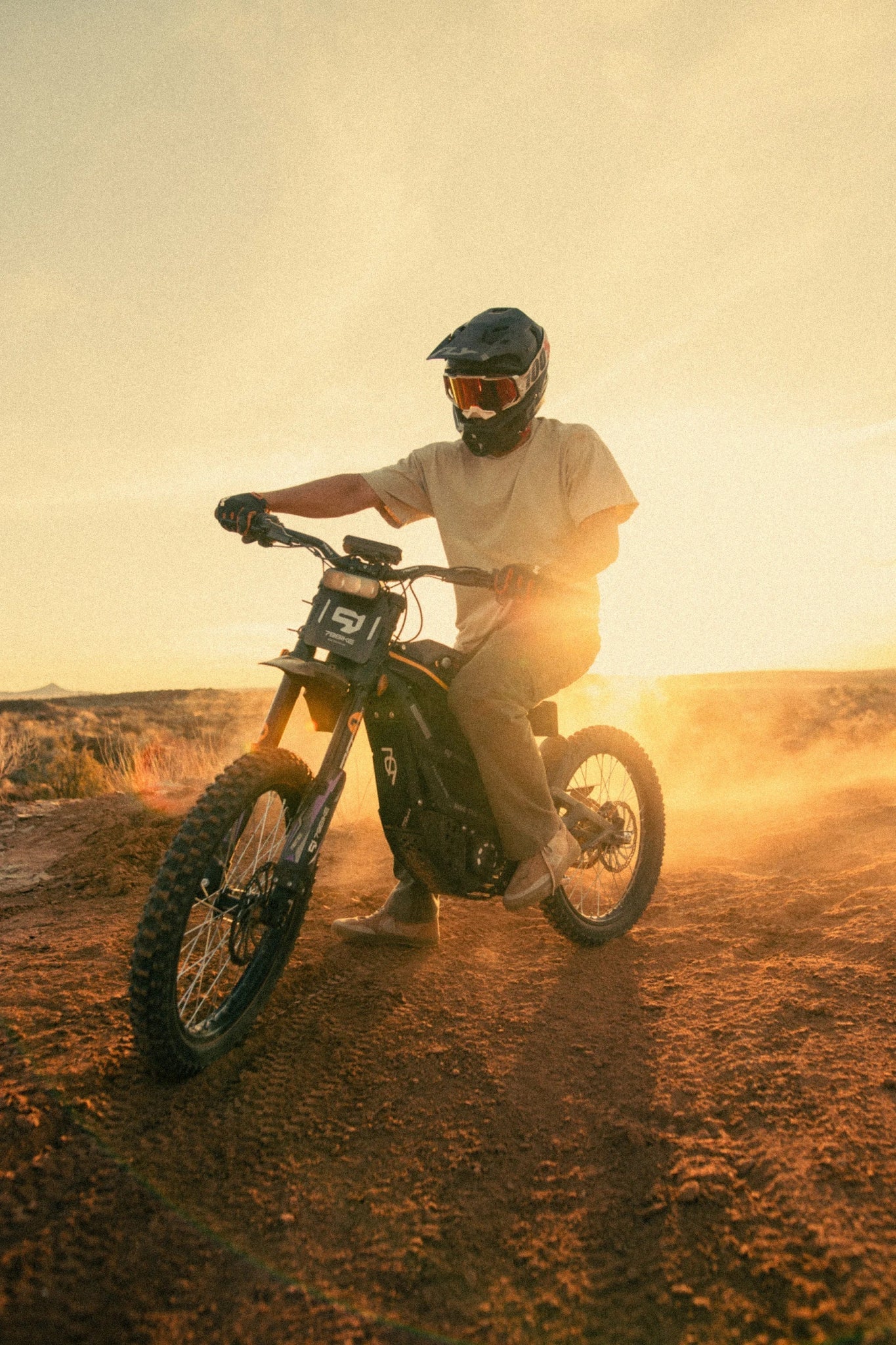 79BIKE Falcon Pro