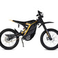 79BIKE Falcon Pro