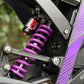 79BIKE Falcon Pro
