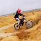 79BIKE Falcon Pro