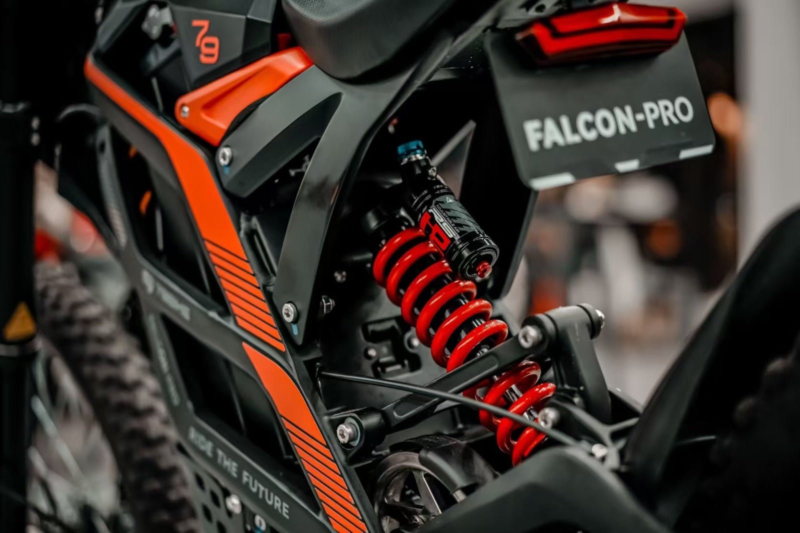 79BIKE Falcon Pro