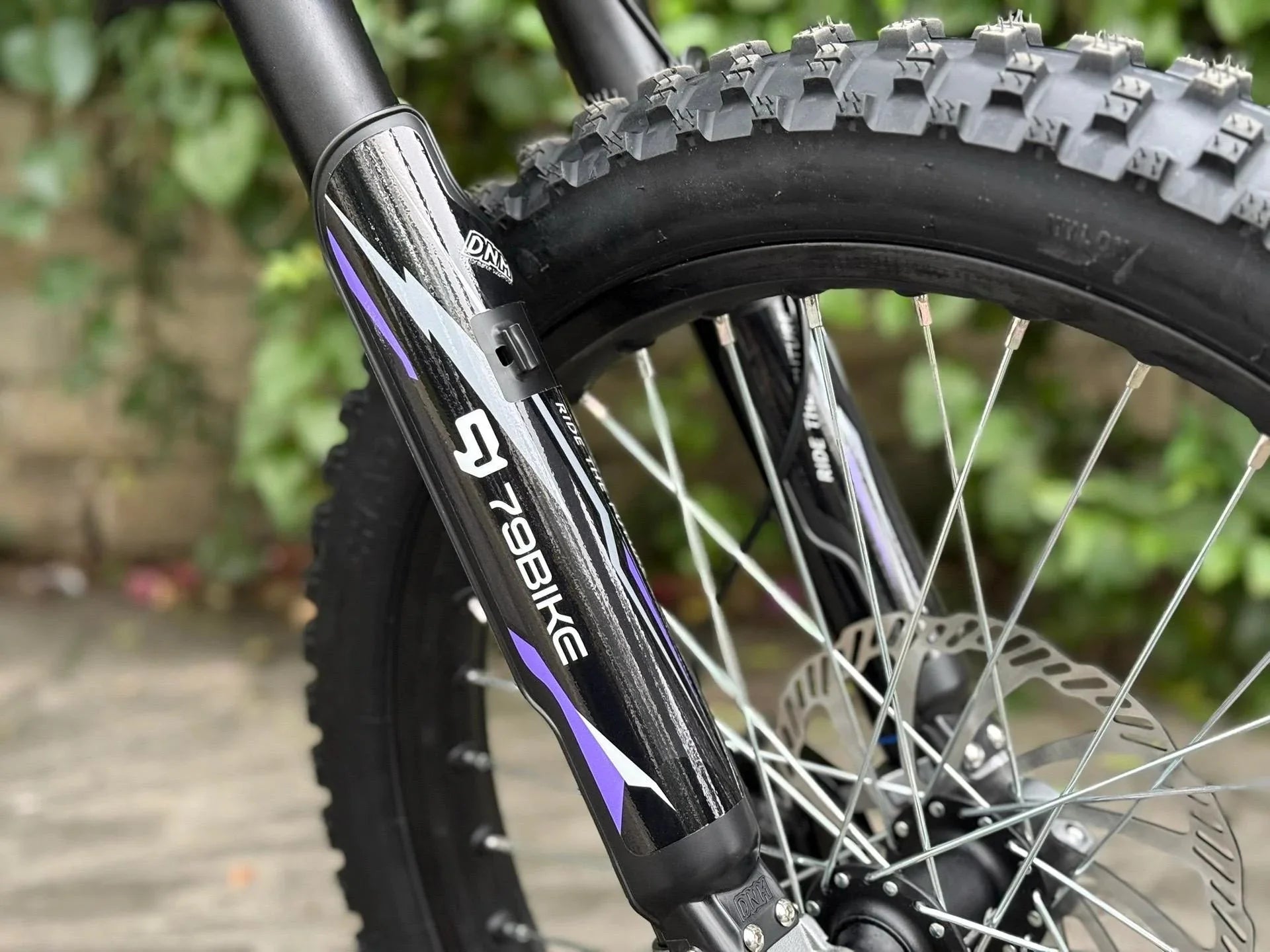 79BIKE Falcon Pro