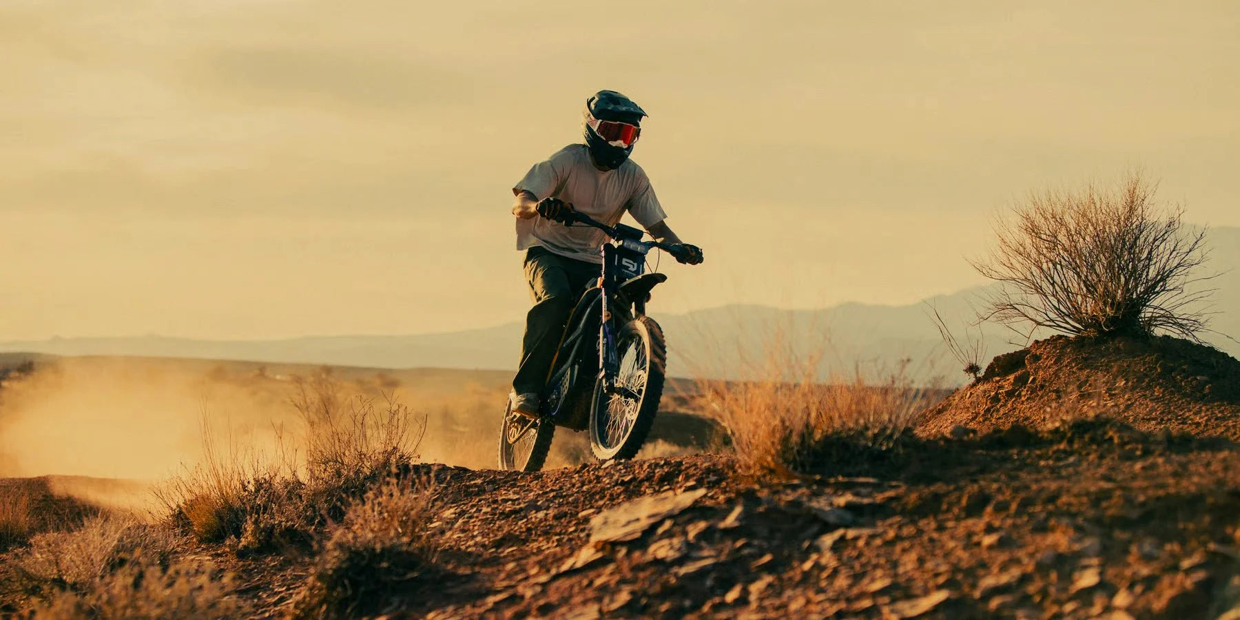 79BIKE Falcon Pro