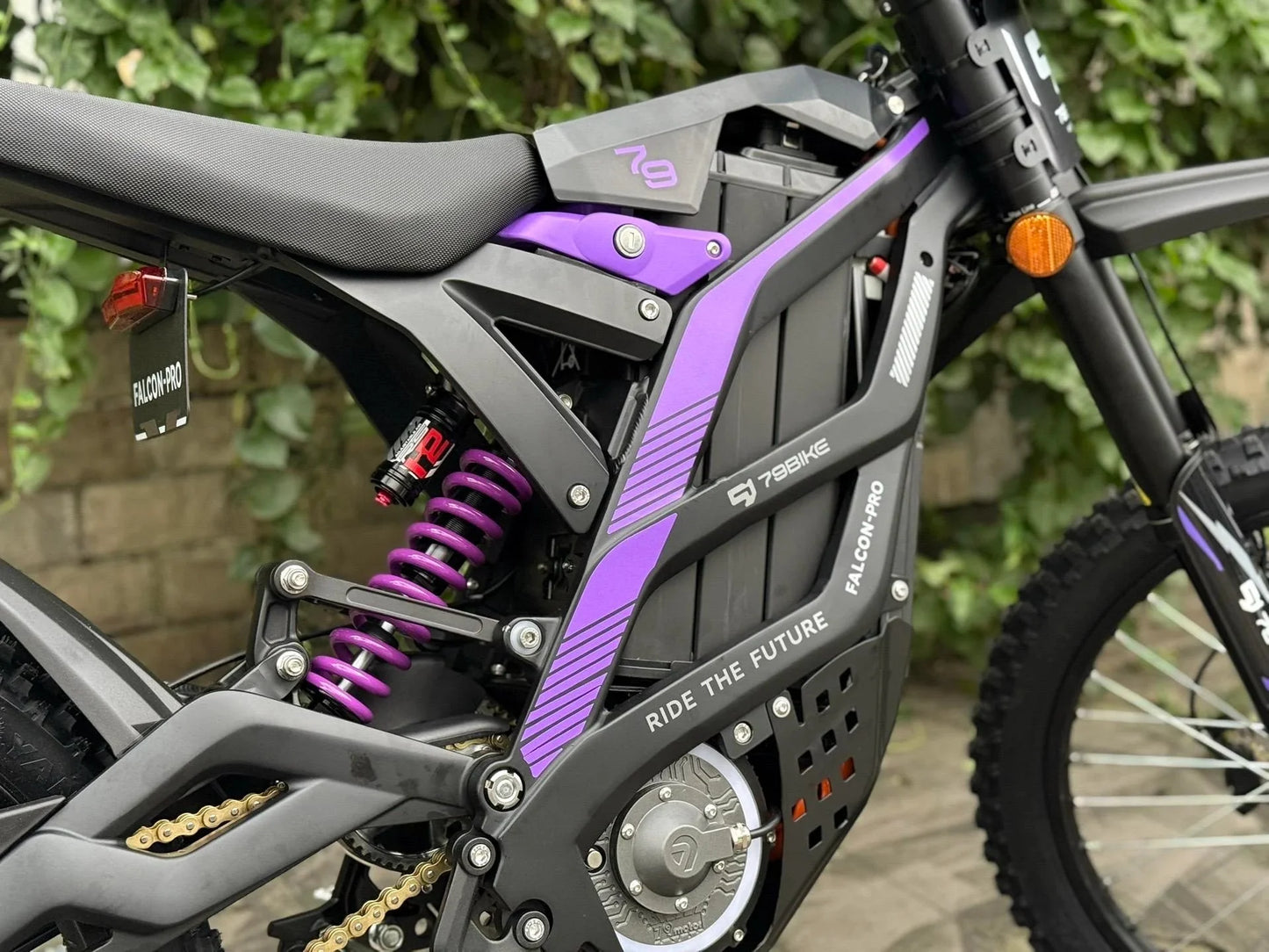 79BIKE Falcon Pro