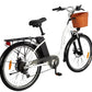 DYU C6 – Elcykel EcoDrift
