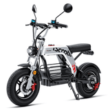 iScooter DX5 Pro el-cross hos Ecodrift
